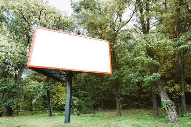Billboard near forest