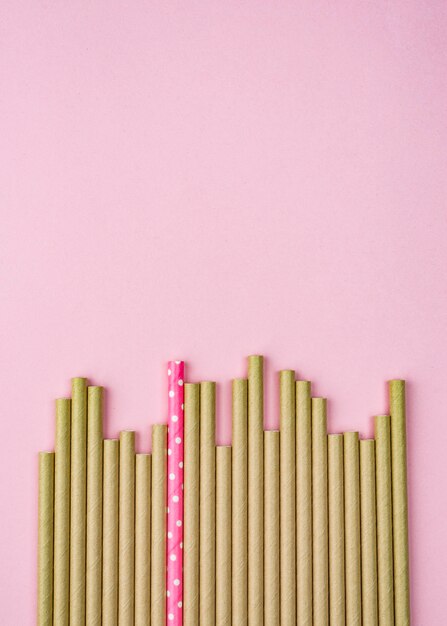 Biodegradable paper straws copy space