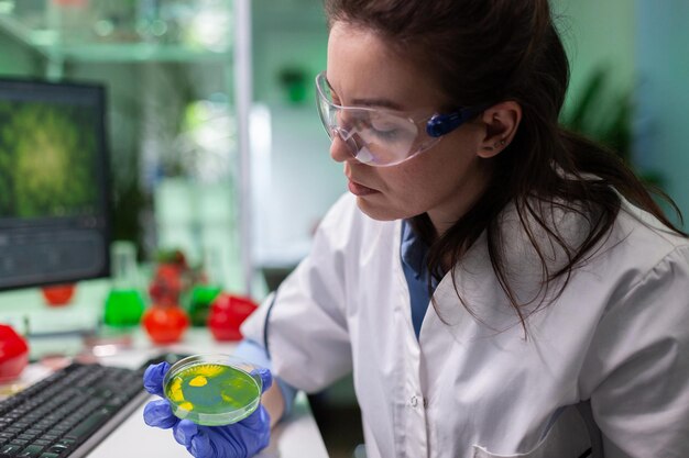 Biologist researcher woman doctor holding petri dish with fluid bacteria analyzing medical plate during microbiology clinical experiment. Chemist scientist working in pharmacology hospital laboratory