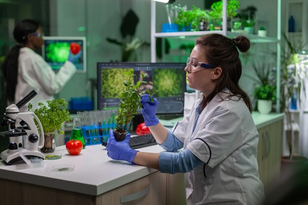 Biologist scientific doctor examining green sapling while typing on keyboard ecology expertise