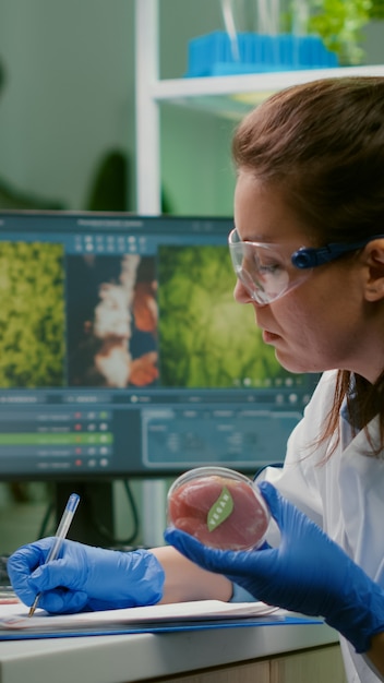 Biologist woman writing medical expertise while holding petri dish with vegan beef meat in hands working in microbiology laboratory