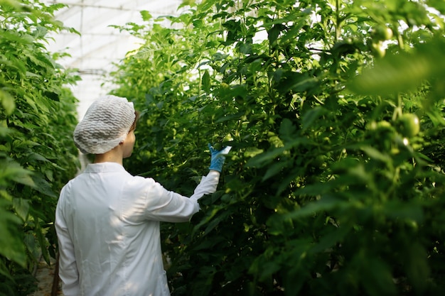 温室で病気について植物の葉を調べるバイオテクノロジーの女性エンジニア