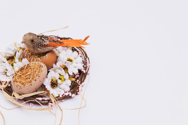 Bird on eggs near flowers