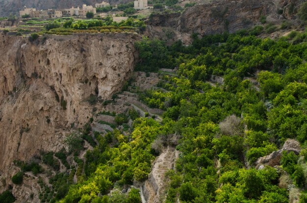 Bird-eye shot of huge and picturesque mountains and cliffs partly covered in green trees