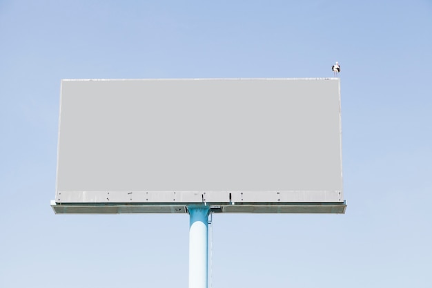 Un uccello che si appollaia sul tabellone per le affissioni vuoto per la pubblicità contro cielo blu