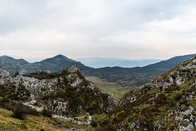 Foto gratuita vista a volo d'uccello delle bellissime montagne rocciose coperte da alberi in una giornata nuvolosa