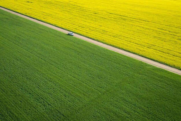 Bird's-eye view of a large field with a narrow road in the middle during a sunny day