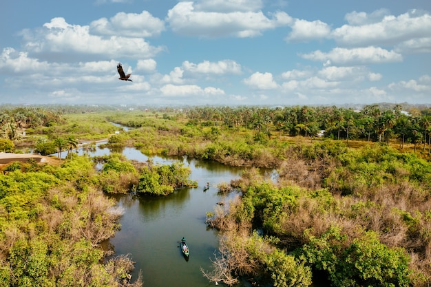 Вид с высоты птичьего полета на заболоченное место, где люди катаются на лодках и наслаждаются природой