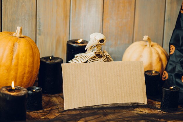 Bird skeleton with cardboard