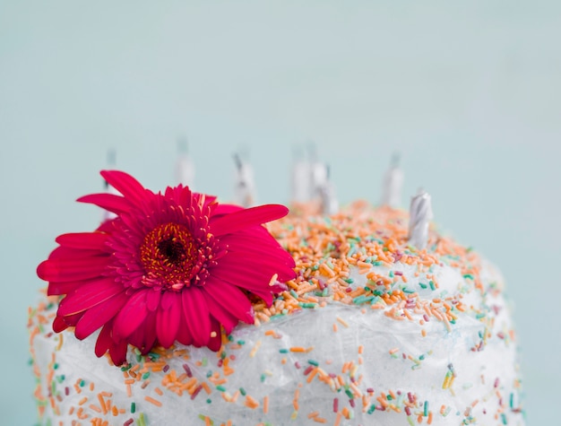 Birthday cake in front of watercolor background