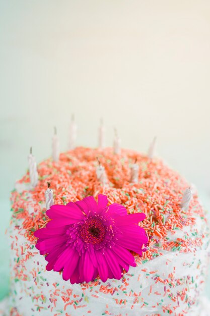 Birthday cake in front of watercolor background