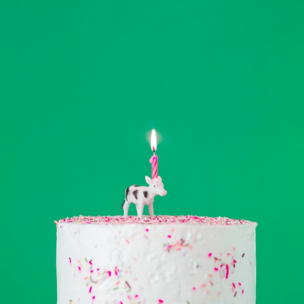 Free photo birthday cake with lit candles