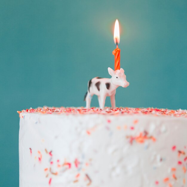 Birthday cake with lit candles