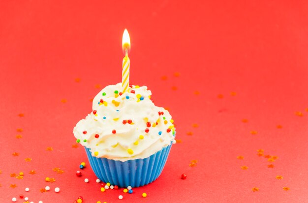 Birthday cupcake with candle