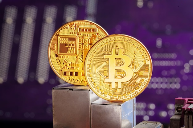 Bitcoin and a computer graphic card Free Photo