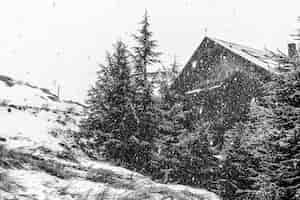 Бесплатное фото Черно-белые драматические пейзажи со снегом