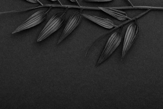 Black background with leaves and vegetation texture