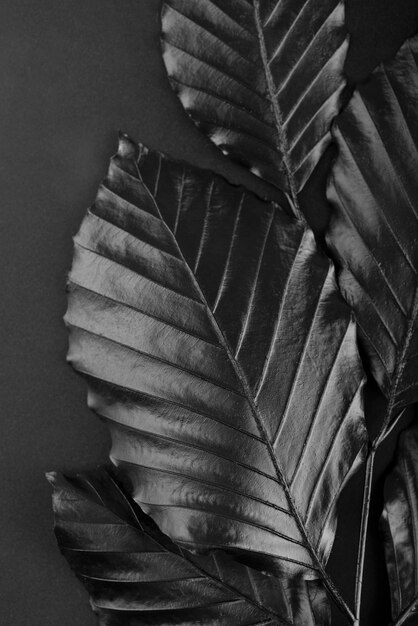 Black background with leaves and vegetation texture