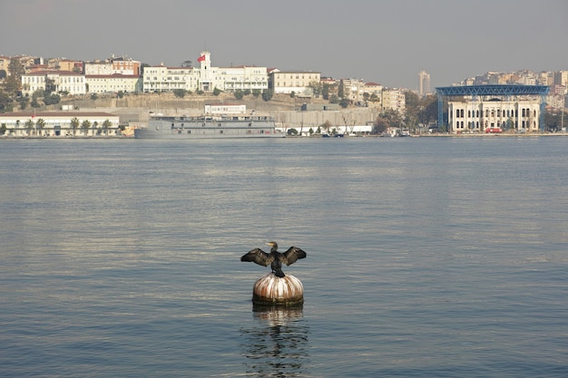 Black bird on a buoy