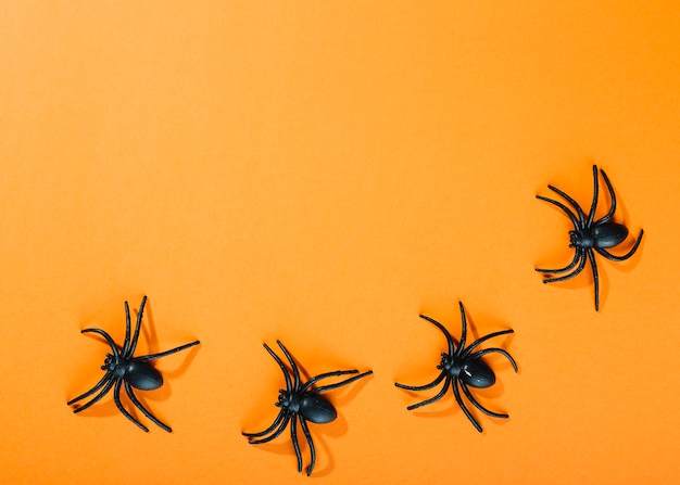 Black decorative spiders laid in semicircle