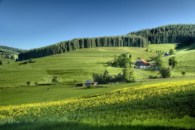 Black forest landscape at the dawn, germany