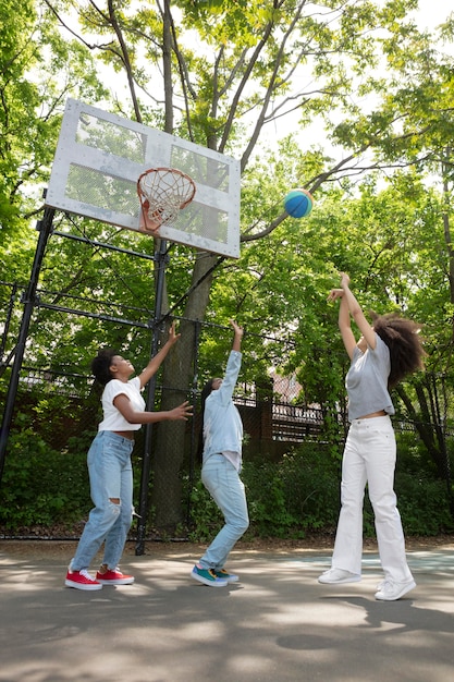 Net Gains: Navigating the Landscape of Basketball Brampton Court Rentals