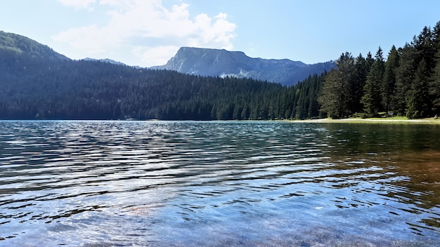 Foto gratuita lago nero in montenegro