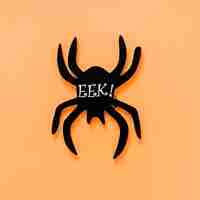 Free photo black paper spider with eek! inscription