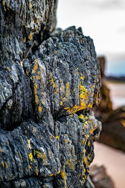 Free photo black rock texture, close up view