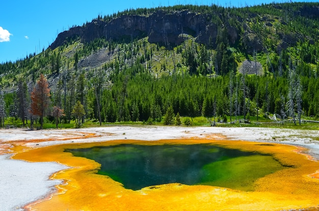 Black sand basin in Yellowstone, National Park, Wyoming