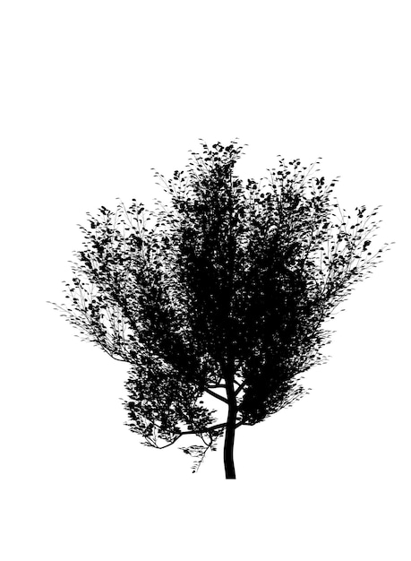 흰색 배경에 고립 된 낙엽수 아이콘의 검은 실루엣 프리미엄 사진