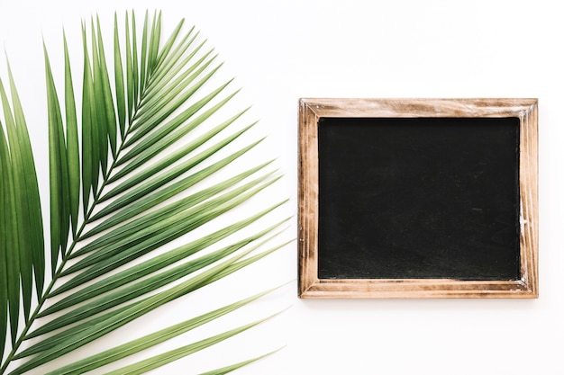 Black slate besides palm leaf against white background