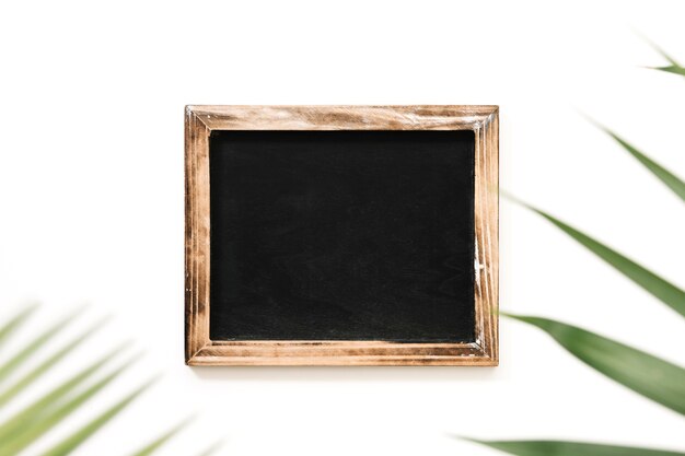 Black slate decorated with palm leaves on white background