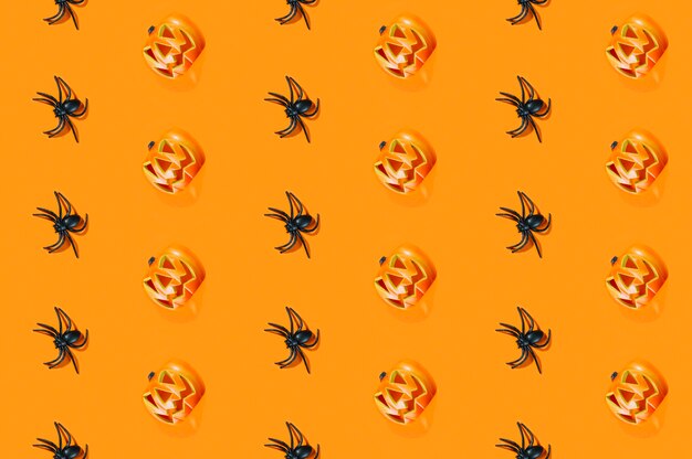 Black spiders and Halloween pumpkins laid in lines