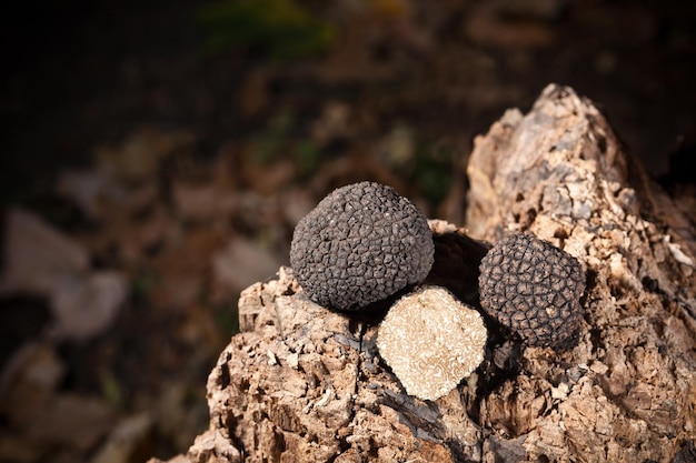 Black truffles on wood