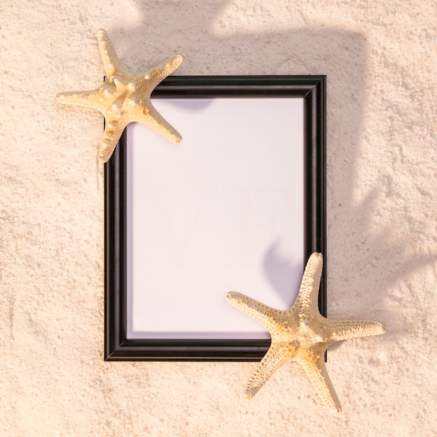 Free photo black vertical frame with sea stars