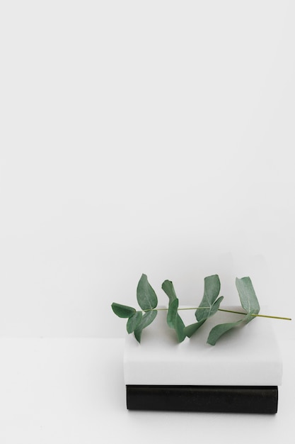 Black and white cover books with green twig against white background