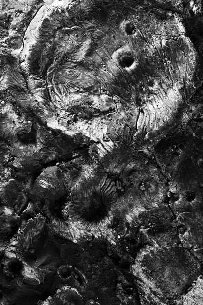 Black and white details of moon texture concept