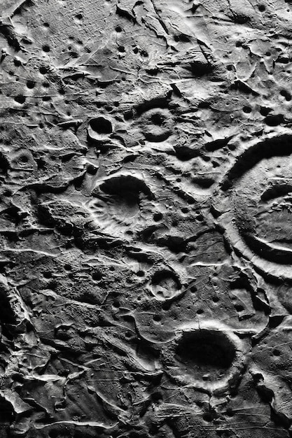 Black and white details of moon texture concept