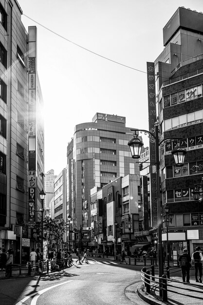 建物のある黒と白の劇的な風景