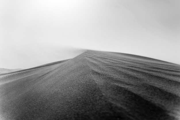 사막이 있는 흑백 극적인 풍경
