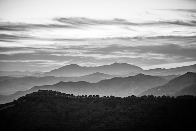 Foto gratuita paesaggi drammatici in bianco e nero con foresta