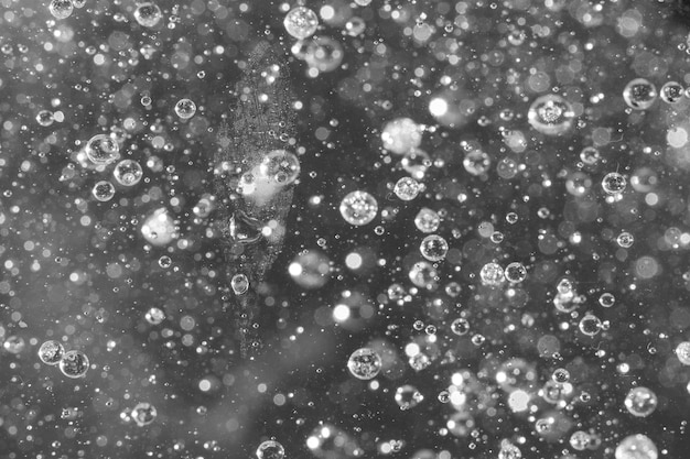 Black and white focused and defocused bubbles
