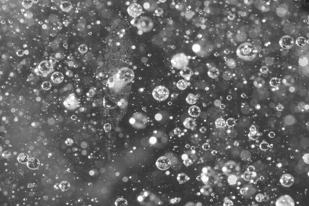 Black and white focused and defocused bubbles