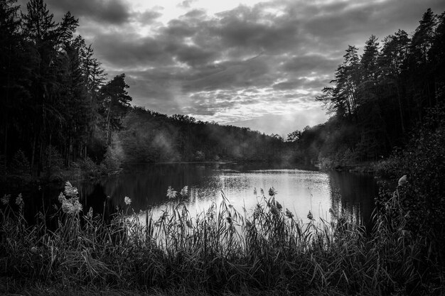 Black and white landscape with river