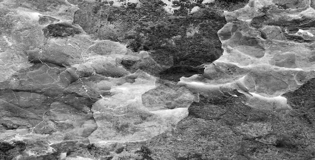Foto gratuita una foto in bianco e nero di una faccia nella roccia