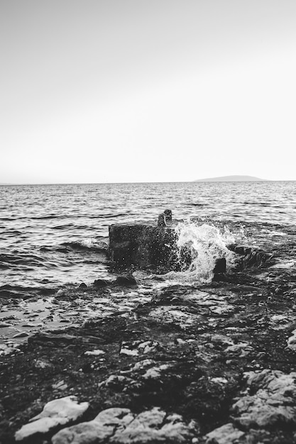 黒と白の海の波