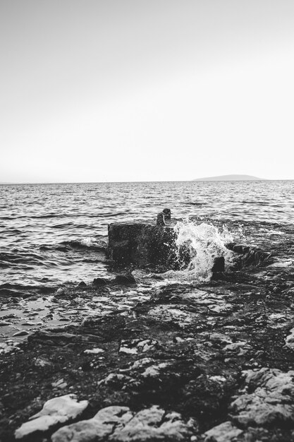 黒と白の海の波