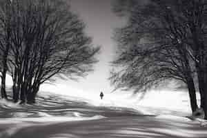 Foto gratuita colpo in bianco e nero di una persona in piedi sulla neve e due alberi spogli