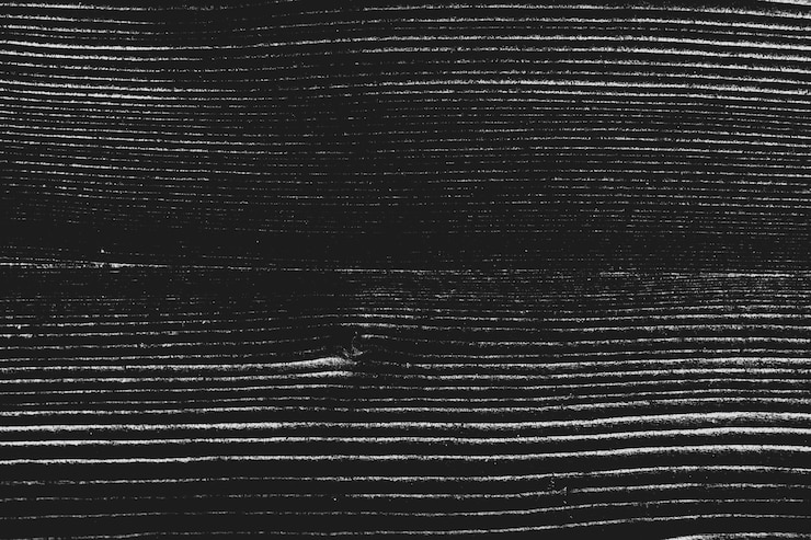 Free Photo black wooden textured design